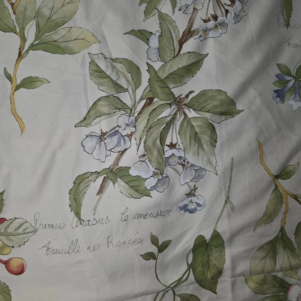 Pottery Barn Floral Bed Pillow Case %100 Organic Cotton Euro Style 30 x 30 in